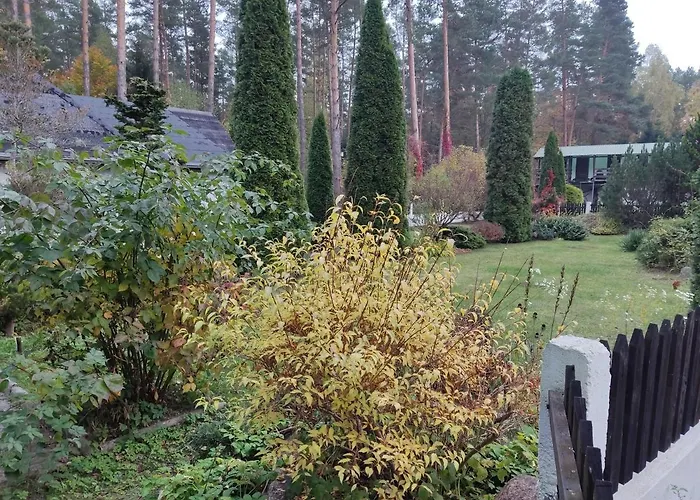 Domek Z Ogrodem