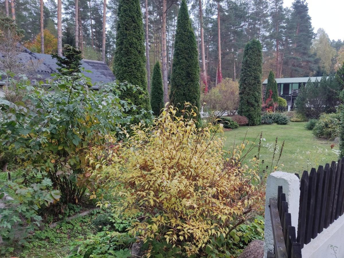 Apartment Z Ogrodem Matki